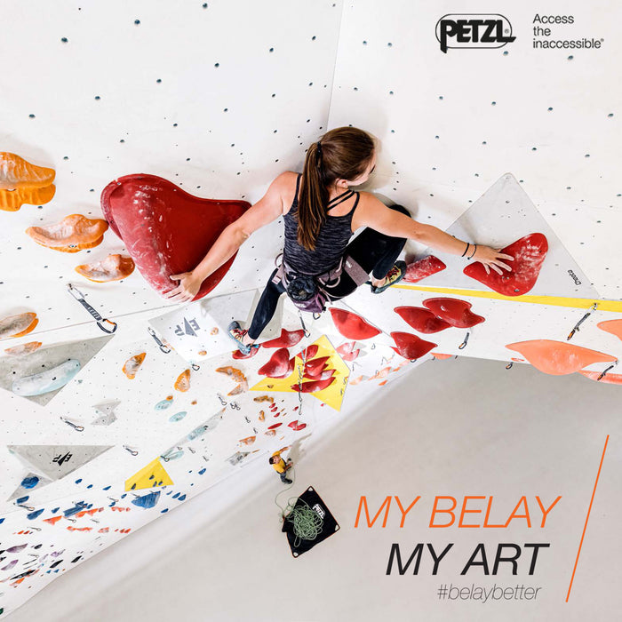 Climbing Gym Resources from Petzl 🆓