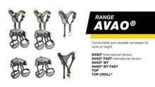PETZL - Avao® International Version