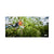 PETZL - Flying Tree Climber poster